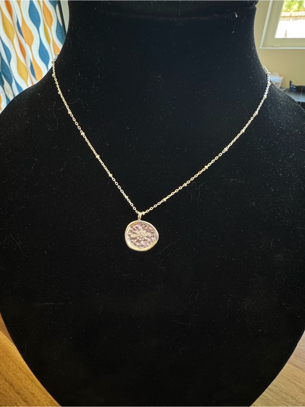 Gorjana Silver Compass Coin Necklace
